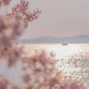 Meet your Posher, Celine